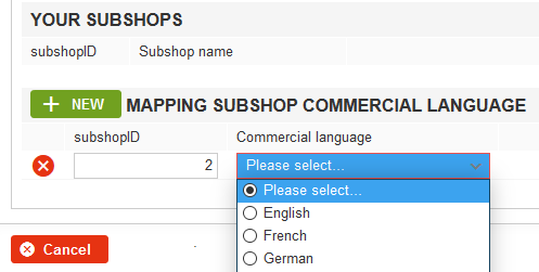 Shopware subshop language